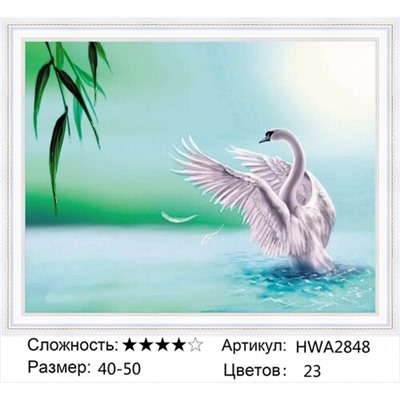 AM45 HWA2848, 40х50 см