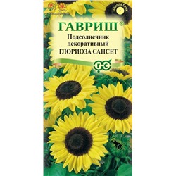Подсолнечник Глориоза Сансет декоративный (Гавр)