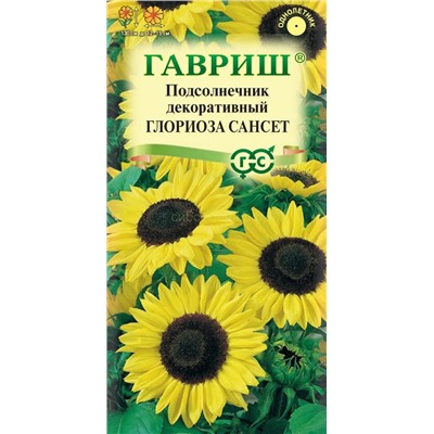 Подсолнечник Глориоза Сансет декоративный (Гавр)