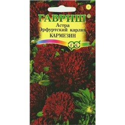 Цв.Астра Эрфуртский Карлик Кармезин (Гавриш) 0,3г