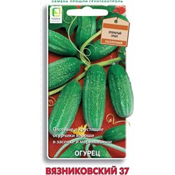 Огурец Вязниковский 37 (П)