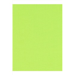 Шорты АПРЕЛЬ #846921