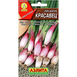 Лук  батун Красавец (Аэлита)