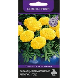 Цв.Барх.Антигуа Голд низ. (Поиск) 15шт