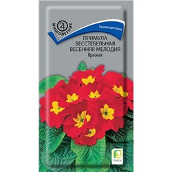 Примула Весенняя мелодия Красная (Код: 92837)