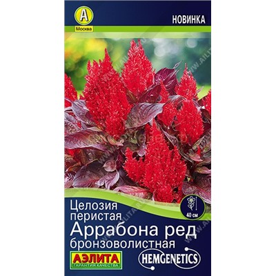 Целозия перистая Аррабона ред Бронзоволистная (Аэлита)