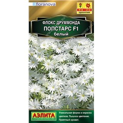 Флокс Попстарс F1 белый (Аэлита)