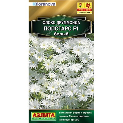 Флокс Попстарс F1 белый (Аэлита)