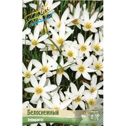 Зефирантес Кандида белоснежный 10шт (ИС)
