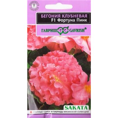 Бегония Фортуна Пинк F1 (Код: 84827)