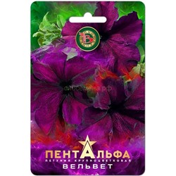 Петуния Пентальфа F1 Вельвет крупноцв (Биотехника)
