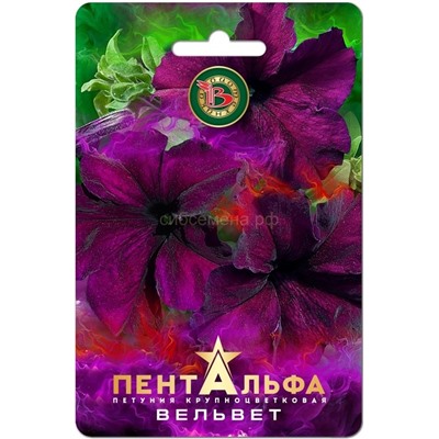 Петуния Пентальфа F1 Вельвет крупноцв (Биотехника)