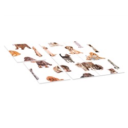 Настольная игра для детей «Шурум-Бурум. Найди половинку» (кошки, собаки)