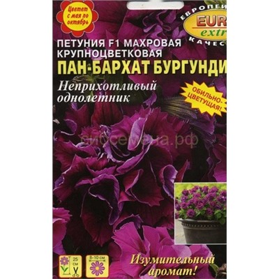 Петуния Пан-бархат Бургунди F1 махровая (А)