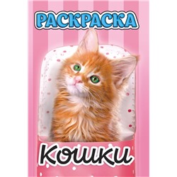 Раскраска