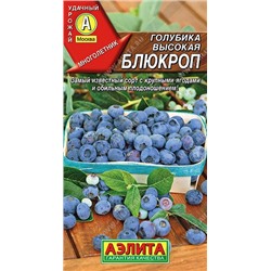 Голубика Блюкроп высокая (Аэлита)