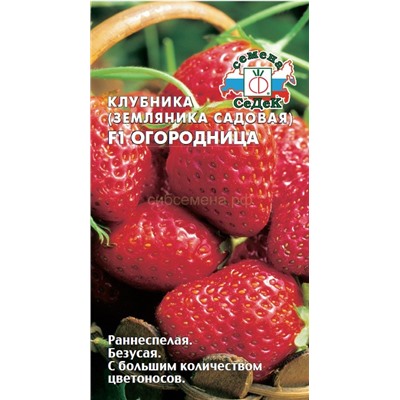 Земляника  Огородница F1 (Седек)