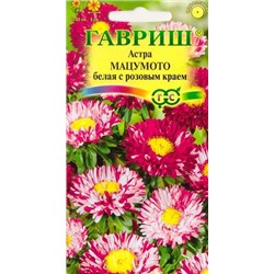 Астра Мацумото Белая с роз.краем (Код: 9318)