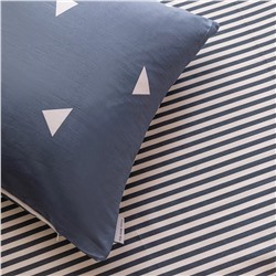 Комплект постельного белья Сатин 100% хлопок C619