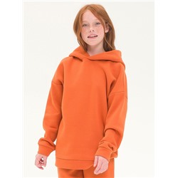 UFNK5323 (Толстовка детская, Pelican Outlet )