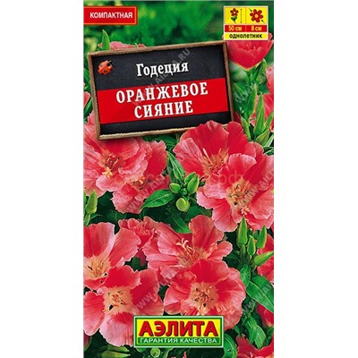 Годеция Оранжевое сияние махровая (Аэлита)