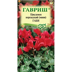 Цикламен Габи (Гавр)