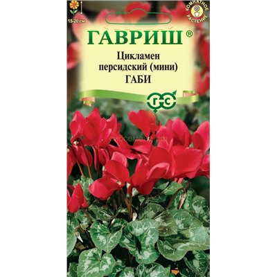 Цикламен Габи (Гавр)