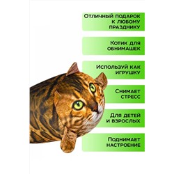 Игрушка-антистресс Кот Рыжик