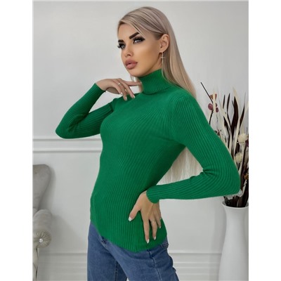 Водолазка 897589