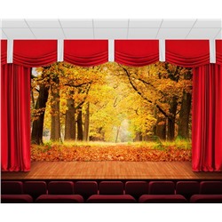 Занавес Осень в лесу