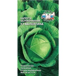 Капуста Валентина F1 (Седек) 0,1г