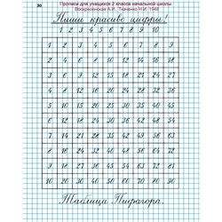 Тетрадь для чистописания. Клетка