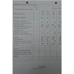 DAVYDOV 9144.1, Юбка,  Жакет