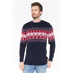 Джемпер мужской 202-12209