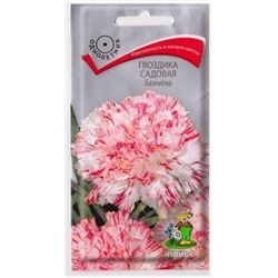 Гвоздика Садовая Баэнигна (Код: 1383)