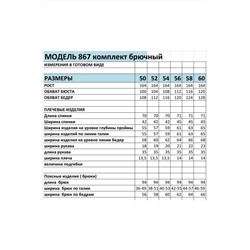 БагираАнТа 867, Брюки,  Блуза