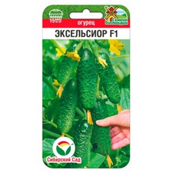 Огурец Эксельсиор F1 (Сиб.Сад) 5 шт