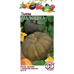 Тыква Малышка (Гавриш) 1г