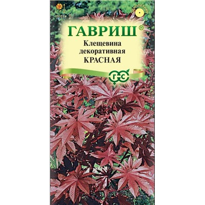 Клещевина Красная (Гавр)