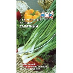Лук Салатный (на перо)  (Седек) 1г