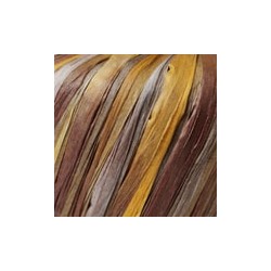 Raffia multi