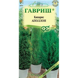 Кипарис вечнозеленый Апполон (Гавр)