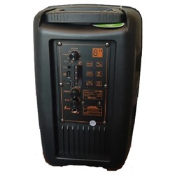 Портативная колонка с микрофоном DG-1086