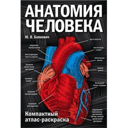 Анатомия человека: компактный атлас-раскраска
