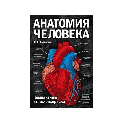 Анатомия человека: компактный атлас-раскраска