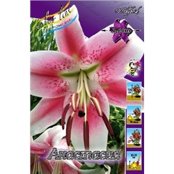Лилии Анастасия 5шт (ИС) ОТ