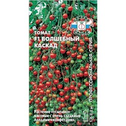 Томат Волшебный каскад (Седек)