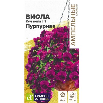 Виола Кул Вейв Пурпурная F1 ампельная (Алтай)