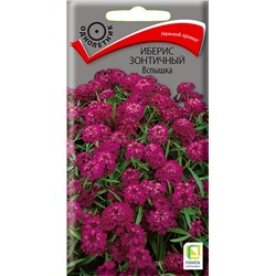 Иберис Вспышка зонтичный (одн) (П)