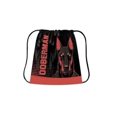 Сумка для сменной обуви 42х34 см СДС-3 "DOBERMAN" Пчелка